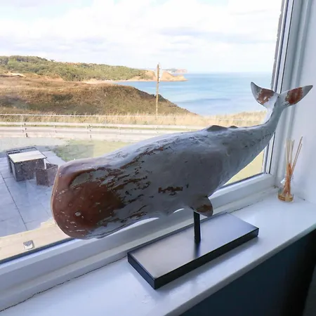 Floraville * 케이톤